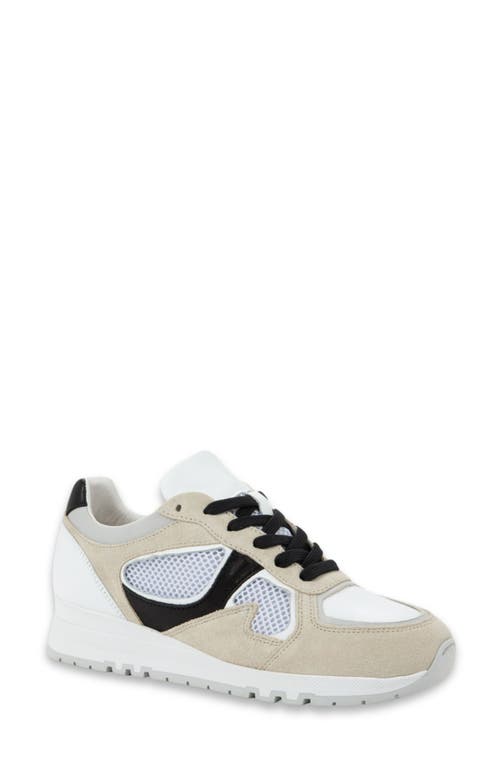 Naot Collins Sneaker In Neutral