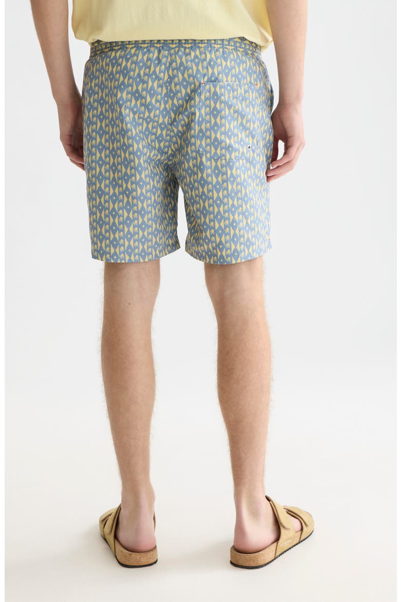 Geo Print Midlength Swim Trunks, Alternate, color, CACTUS STRIPE INFINITY