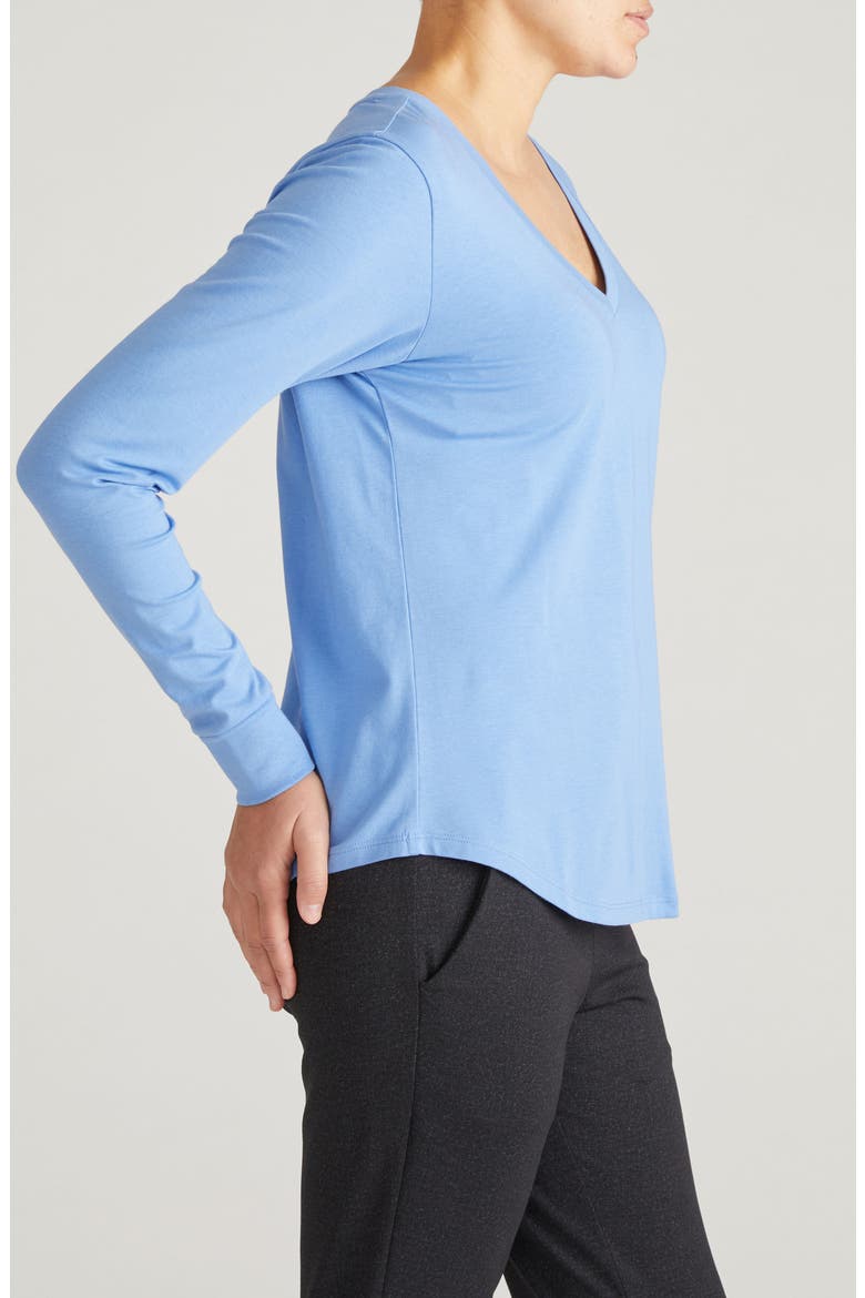 Long Sleeve V-Rex Tee, Alternate, color, SEASIDE BLUE
