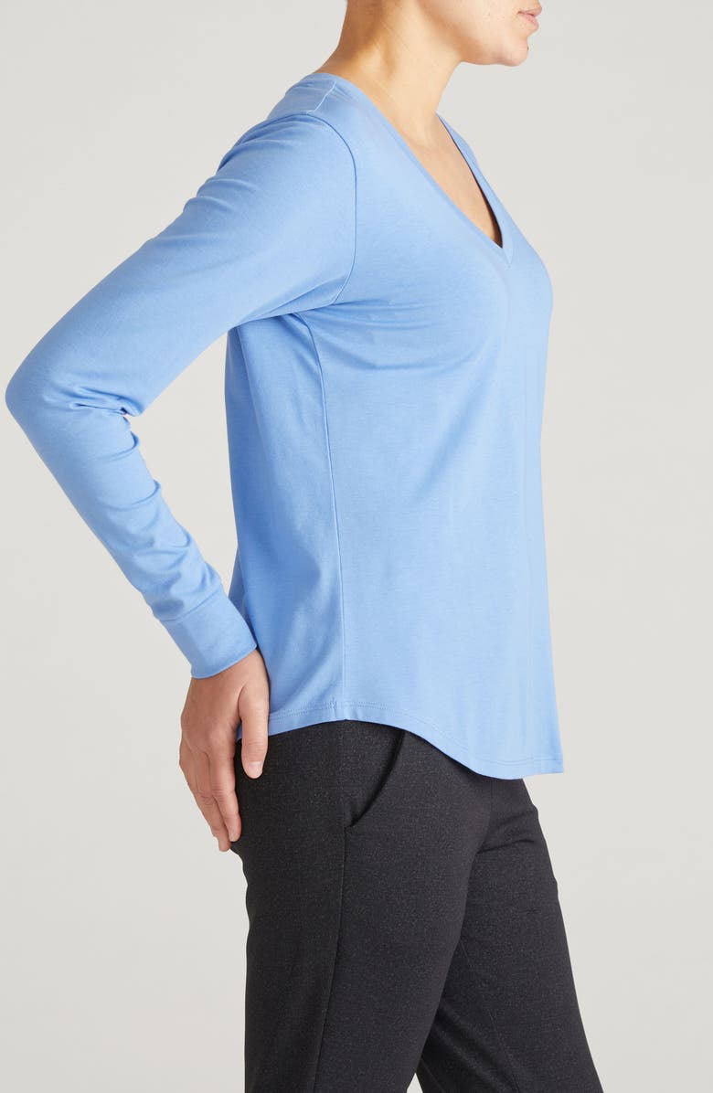 Universal Standard Long Sleeve V-Rex Tee, Alternate, color, Seaside Blue