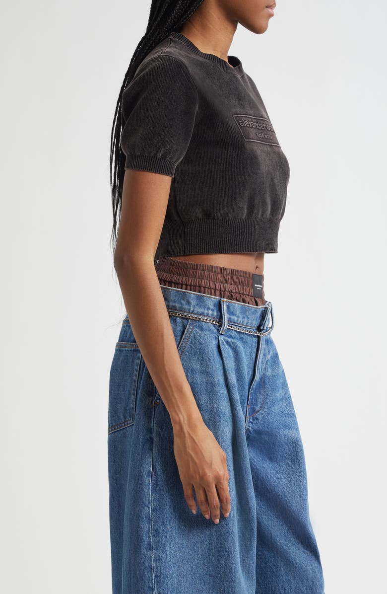 Alexander Wang Logo Short Sleeve Chenille Crop Sweater, Alternate, color, Washed Black
