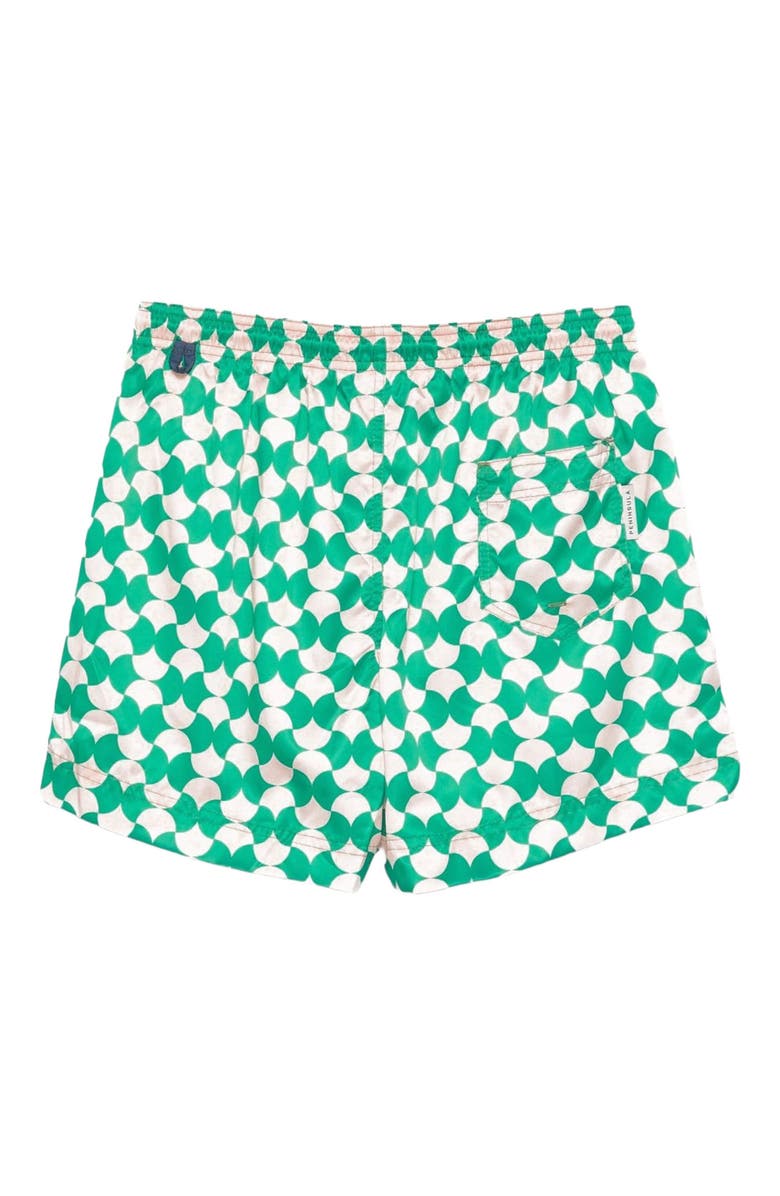 Peninsula Swimwear Soffi Swim Shorts, Alternate, color, Multicolor