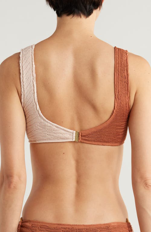 Cleonie Oceania Bikini Top In Espresso Shell