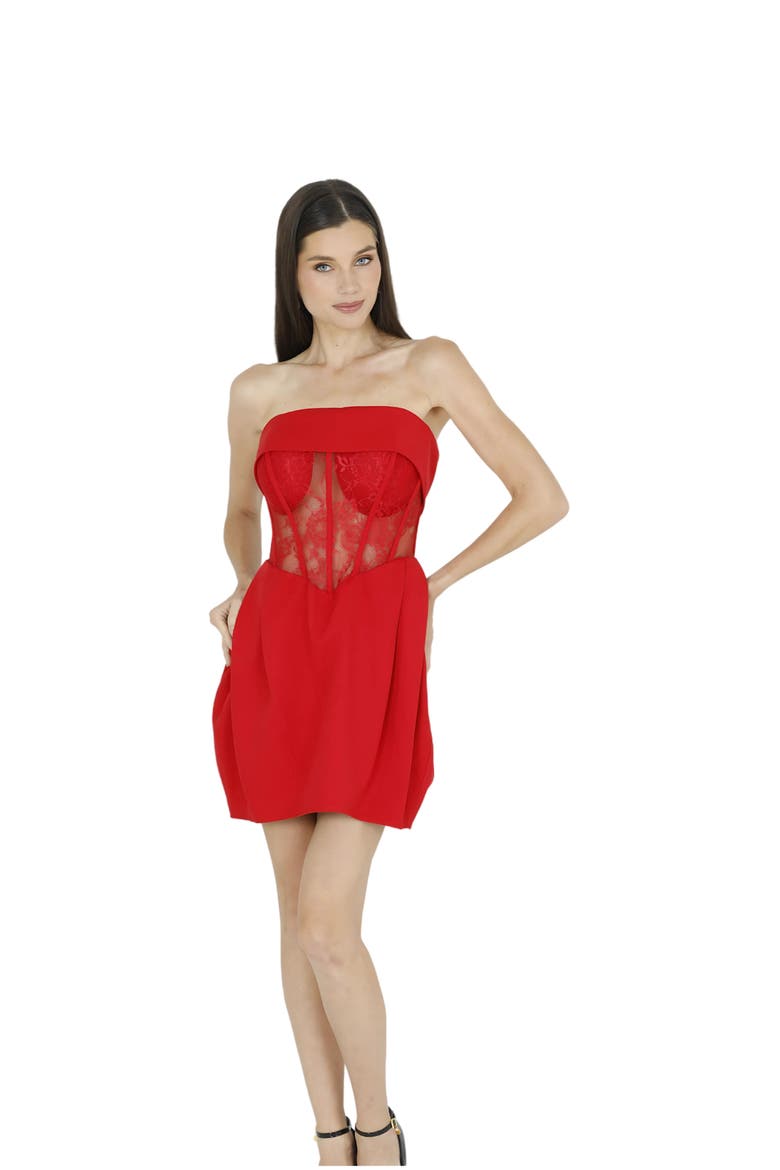 Daisy Strapless Lace Corset Dress, Alternate, color, RED