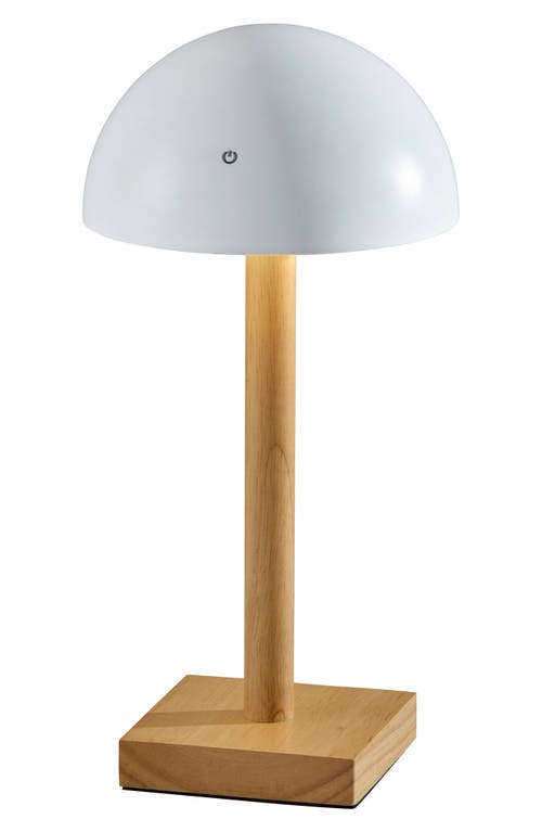 Adesso Lighting Nash Led Cordless Table Lamp