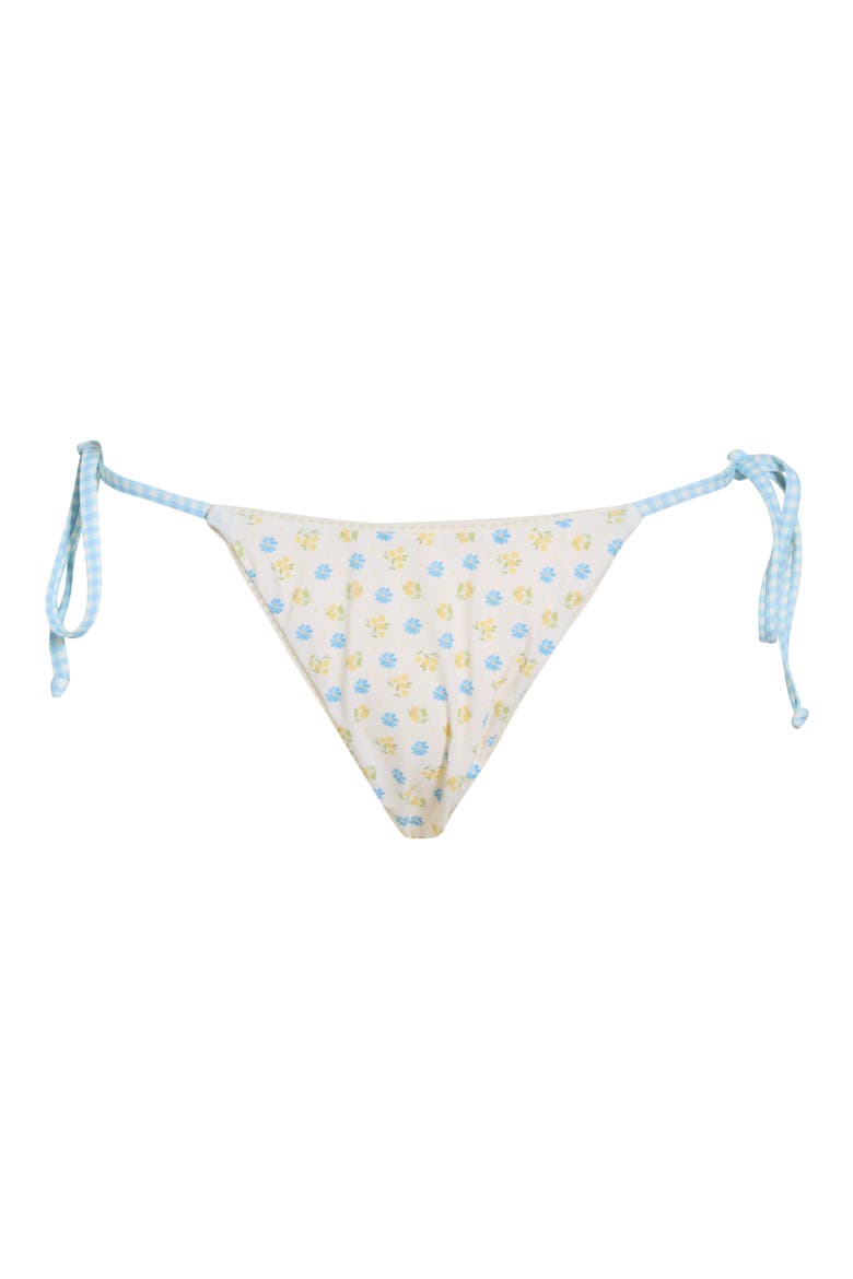 Valentina Side Tie Bikini Bottoms, Alternate, color, MEADOW/ BLUE GINGHAM