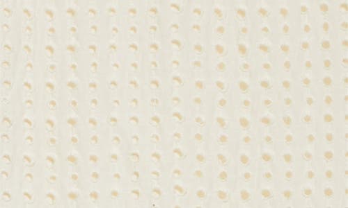 Shop Ulla Johnson Gabi Soutache Lace Detail Cotton & Silk Eyelet Minidress In Ivory