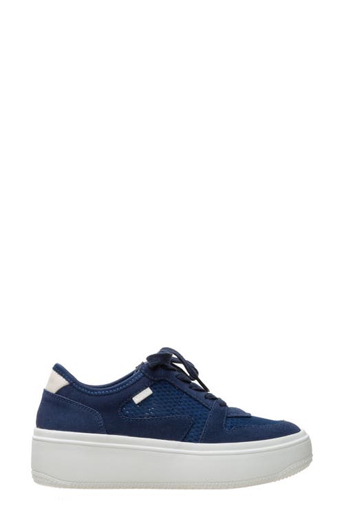 Linea Paolo Gains Platform Sneaker In Blue