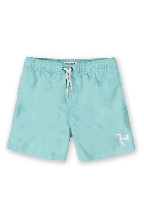 Kids' Washed Volley Swim Trunks (Little Kid)