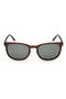 selected Brown Horn / Green Polarized