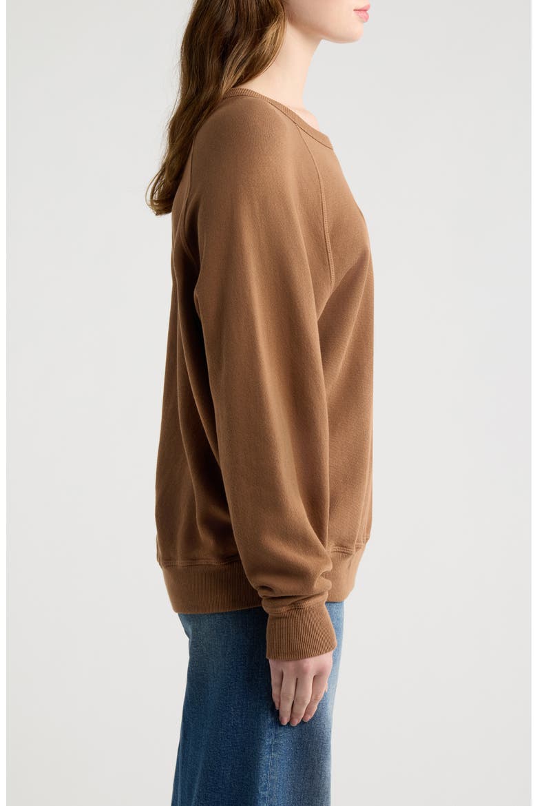 x Stetson The College Graphic Sweatshirt, Alternate, color, TOBACCO