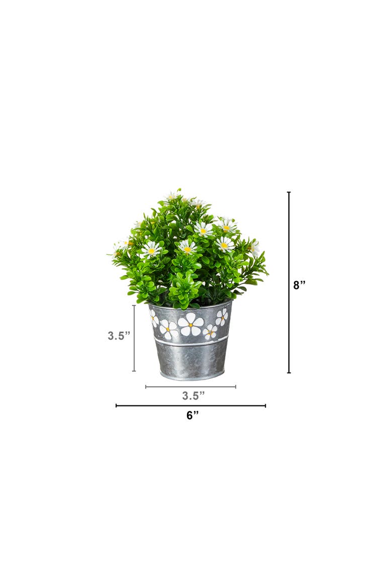 8-in Artificial Daisy Plant in Decorative Daisy Tin Planter - Set of 3, Alternate, color, Assortment 1