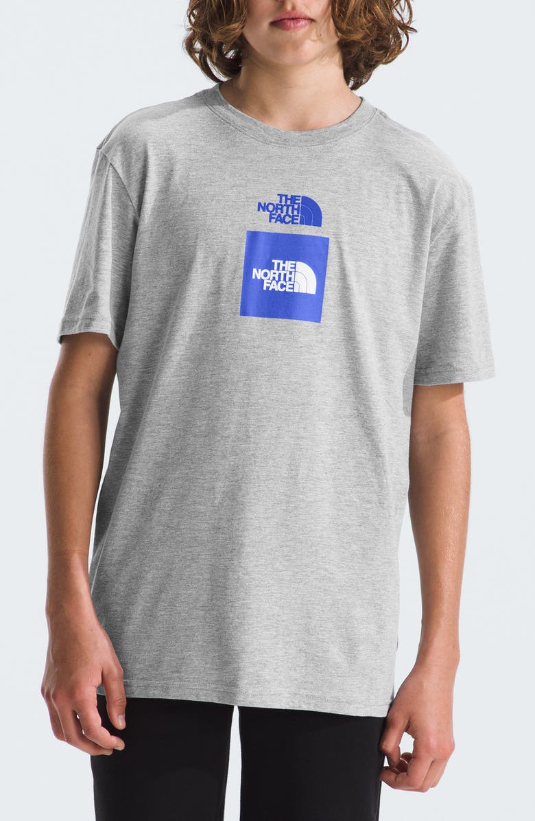 The North Face Graphic Logo T-Shirt, Main, color, 