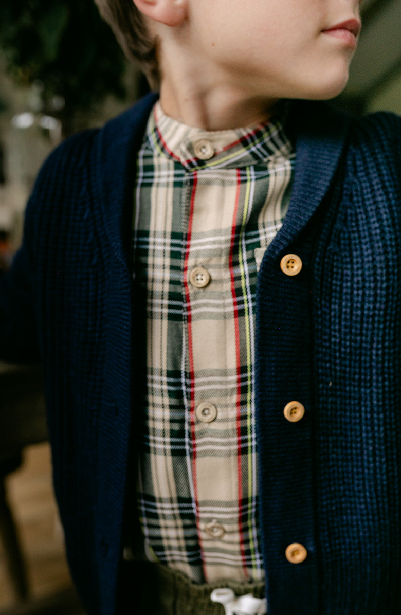 Little Paper Kids Arthur Long Sleeve Shirt, Alternate, color, Fall Plaid