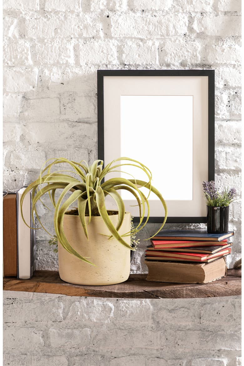 Tillandsia Planter Decoration, Alternate, color, IVORY