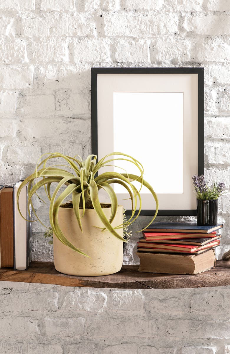 Bloomr Tillandsia Planter Decoration, Alternate, color, 
