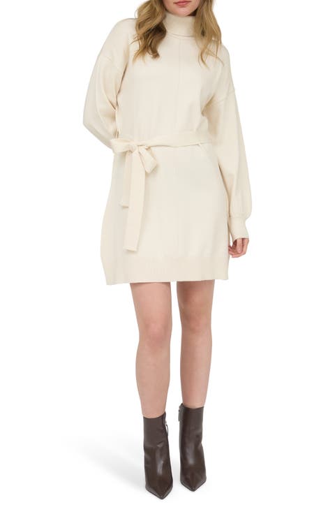 Long Sleeve Turtleneck Sweater Minidress