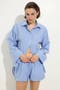 selected Light Blue/Checked