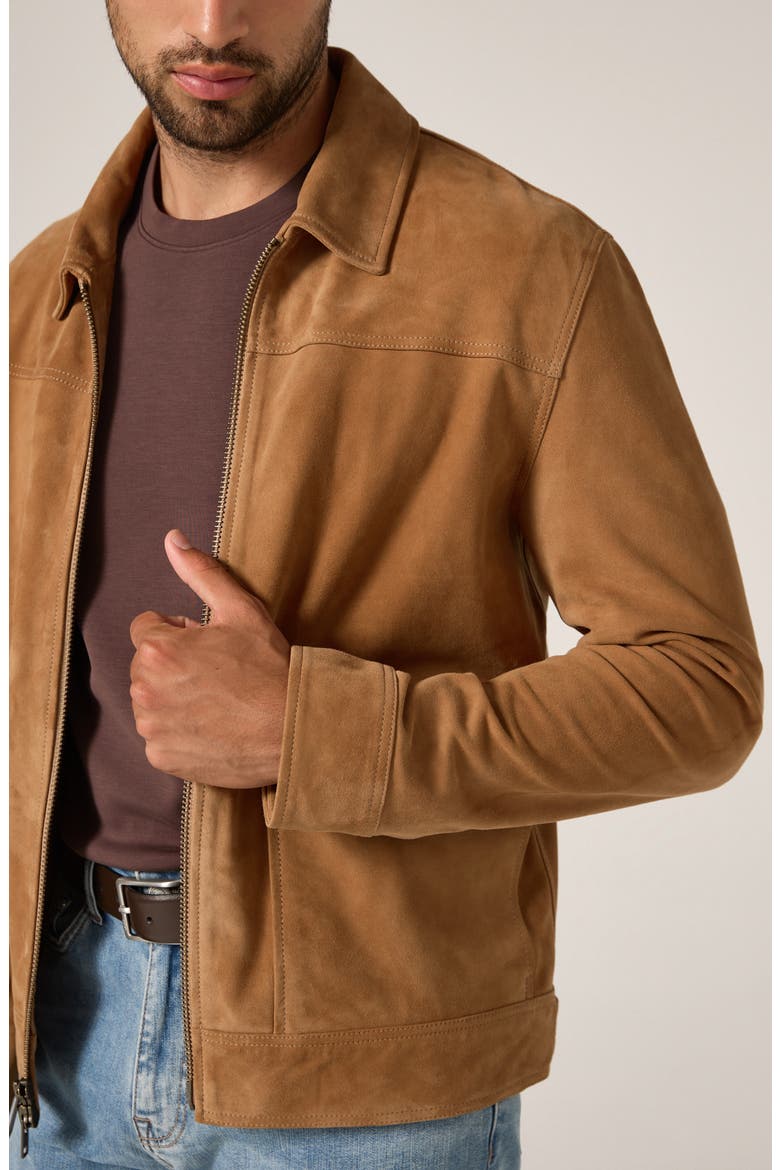 Suede Flight Jacket, Alternate, color, CAMEL