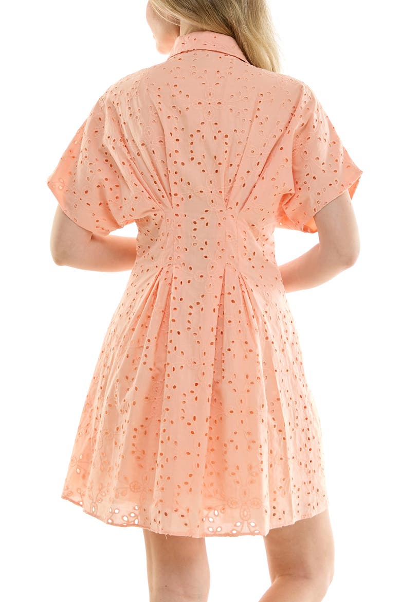 Cotton Broderie Anglaise Mini Shirtdress, Alternate, color, DUSTY PEACH