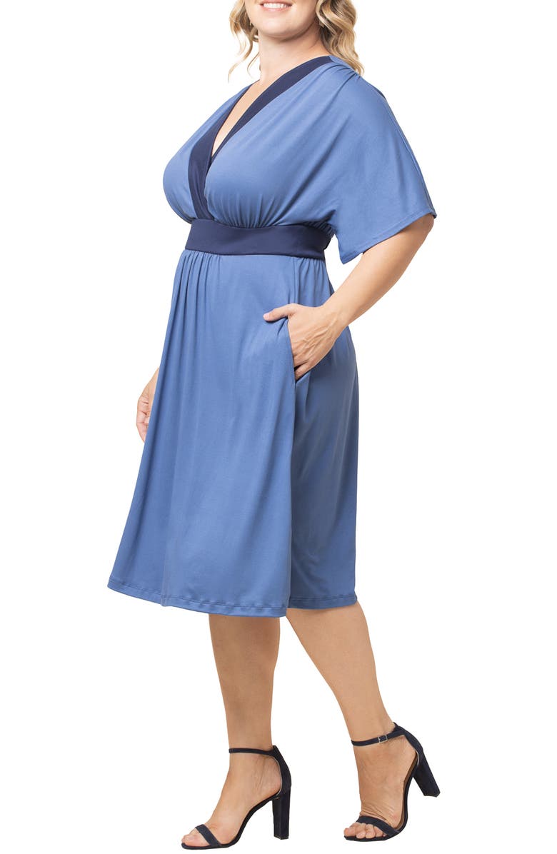 Kiyonna Paige Colorblock Dress, Alternate, color,