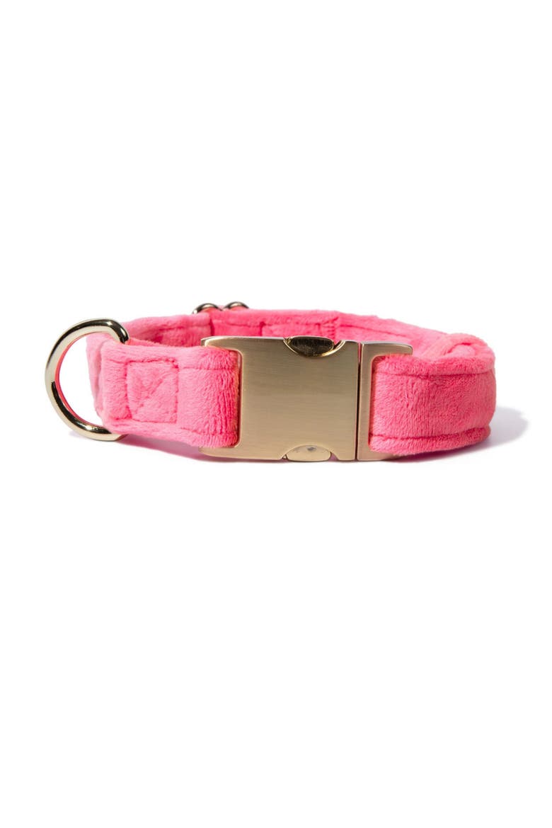 Valentina Dog Collar, Main, color, Valentina