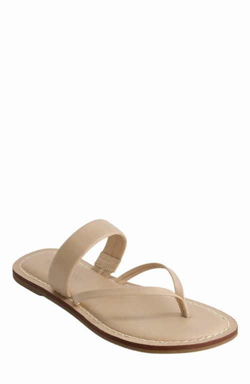 Bernardo Footwear Leia Thong Sandal In Pink