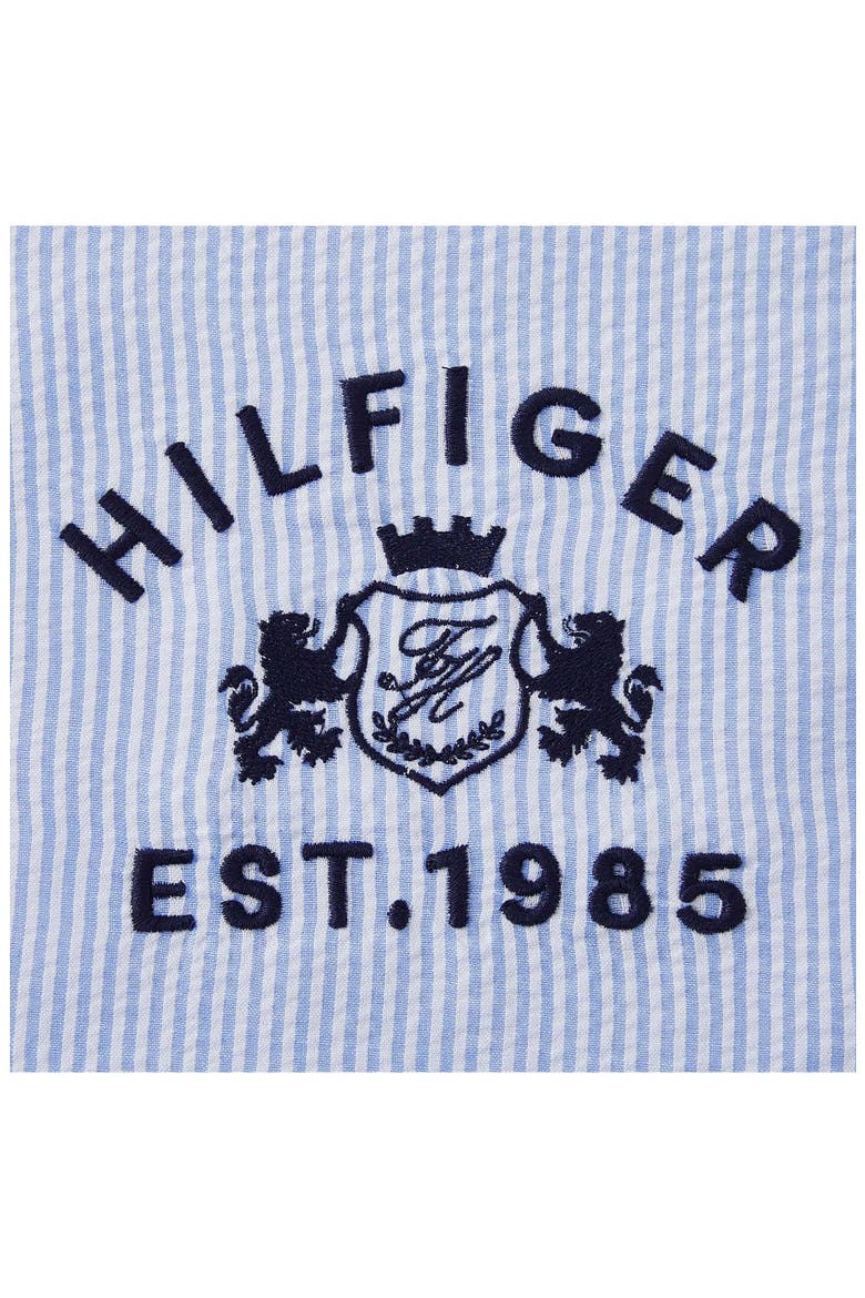 Crest Accent Pillow, Alternate, color, BLUE/ WHITE