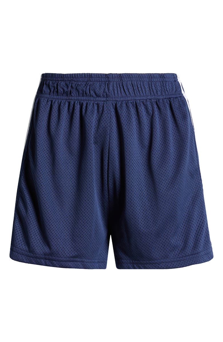 PacSun Mesh Basketball Shorts, Alternate, color,