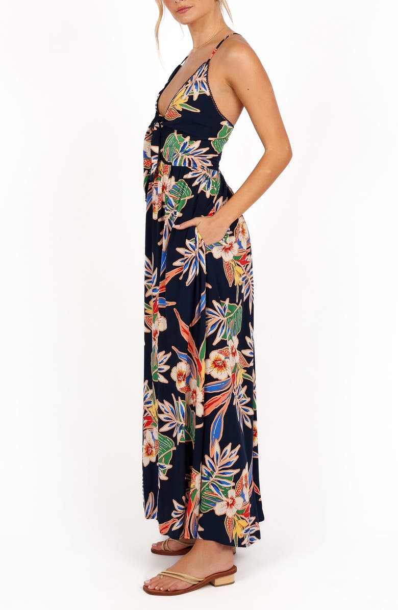 Petal & Pup Jodie Print Sleeveless Maxi Dress, Alternate, color, 
