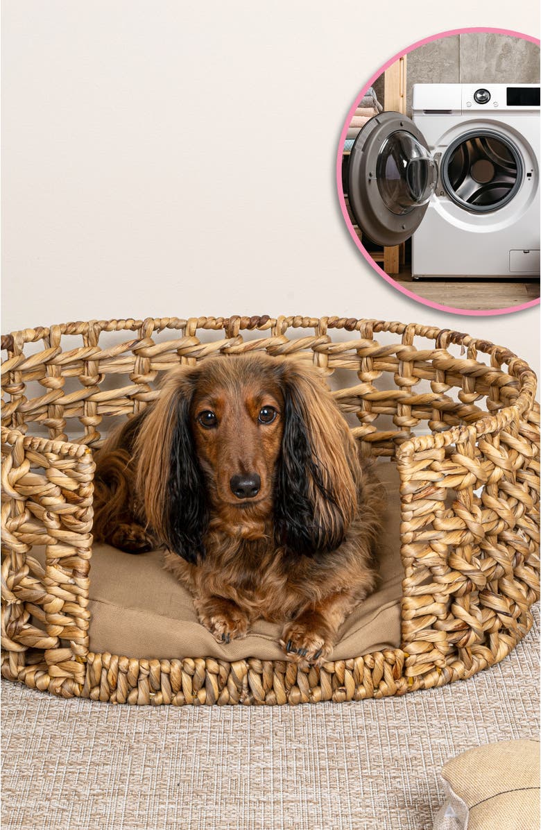 The Licker Store Gigi 24" x 18" Modern Handwoven Hyacinth Open-Weave Oval Pet Bed, Machine-Washable Cushion, Alternate, color, Natural