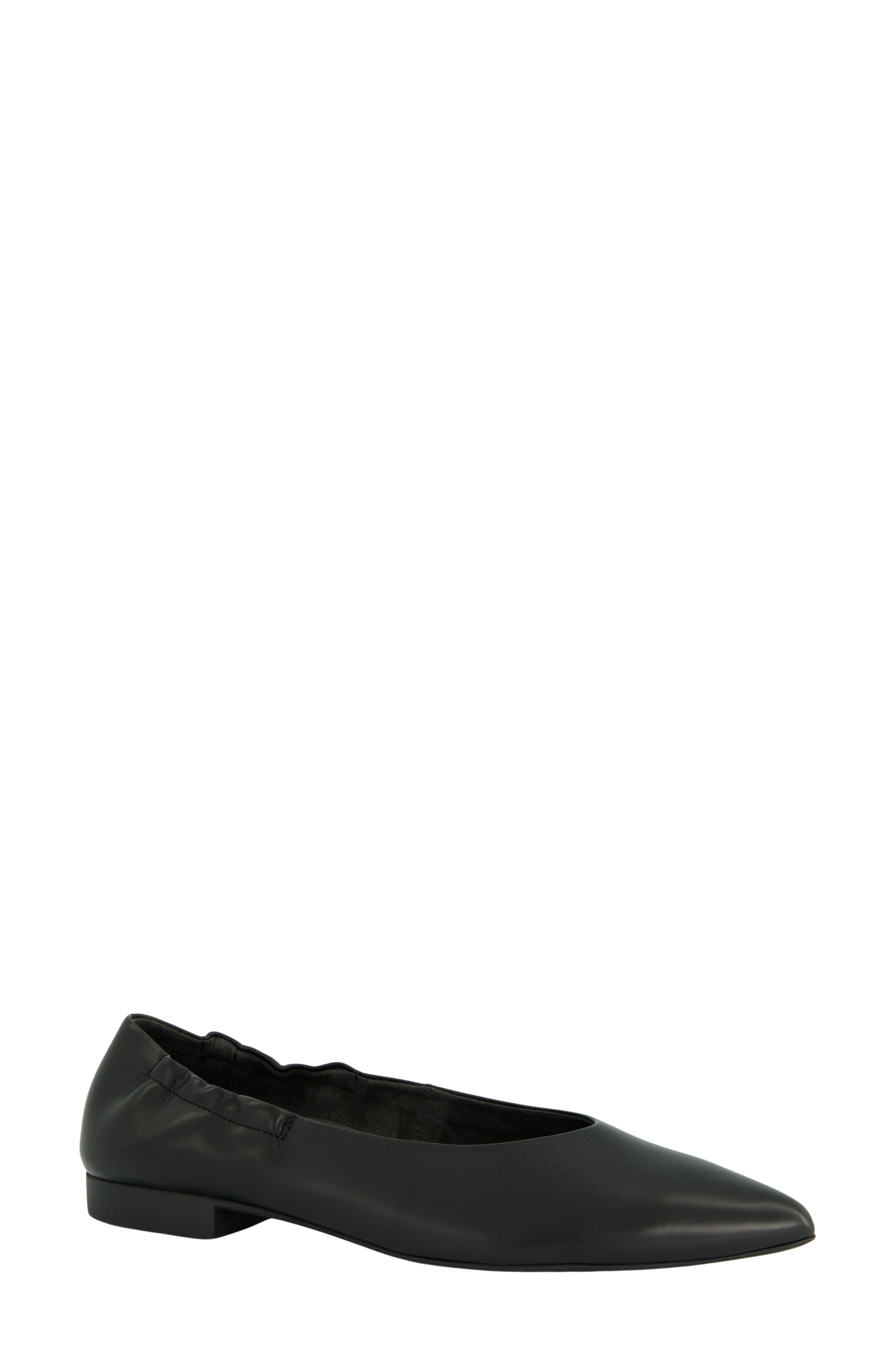 Elly Pointed Toe Flat, Main, color, BLACK LEATHER