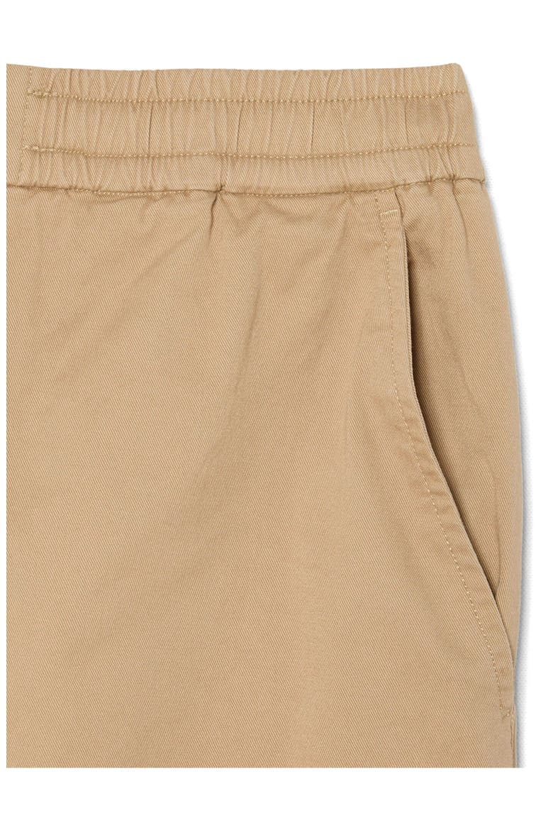 Essentials Regular Fit Straight Leg Pants, Alternate, color, VIENNESE