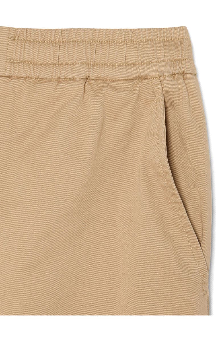 Lacoste Essentials Regular Fit Straight Leg Pants, Alternate, color, Viennese