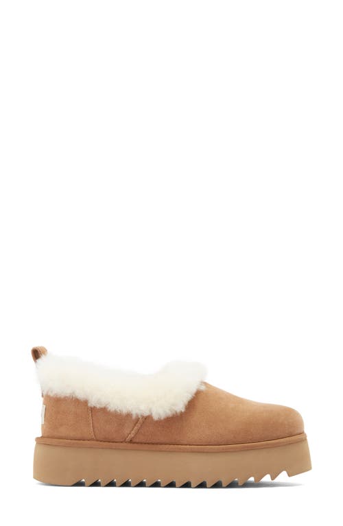 Ugg ® Nita Genuine Shearling Slipper In Brown