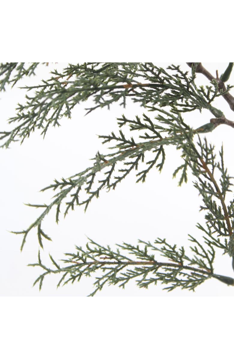 CG Hunter 27" Cedar Stem, Alternate, color, Green