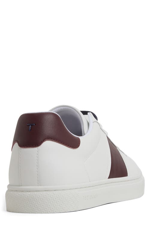 Ted Baker Bradley Sneaker In White