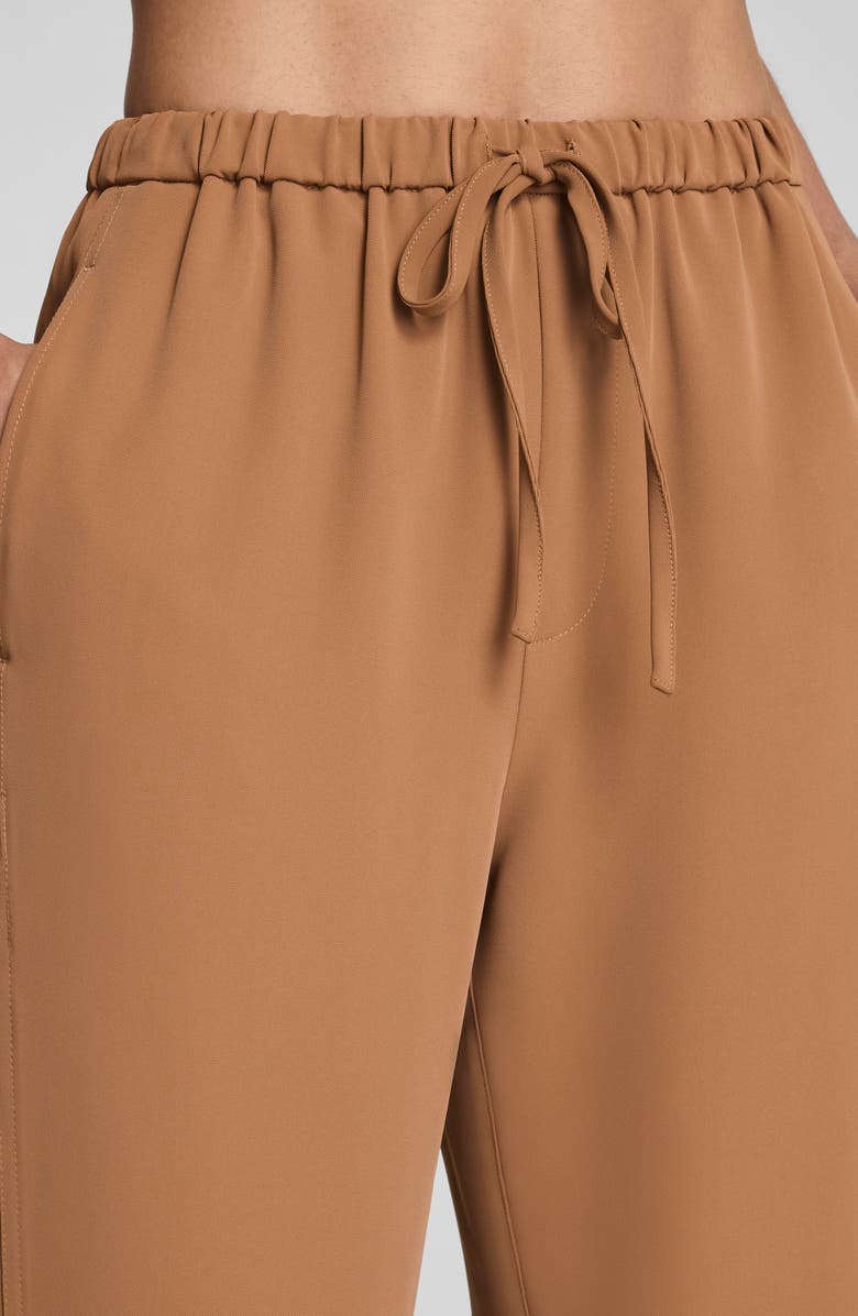 SPANX<sup>®</sup> CarryOn Pull-On Straight Leg Pants, Alternate, color, Maplewood