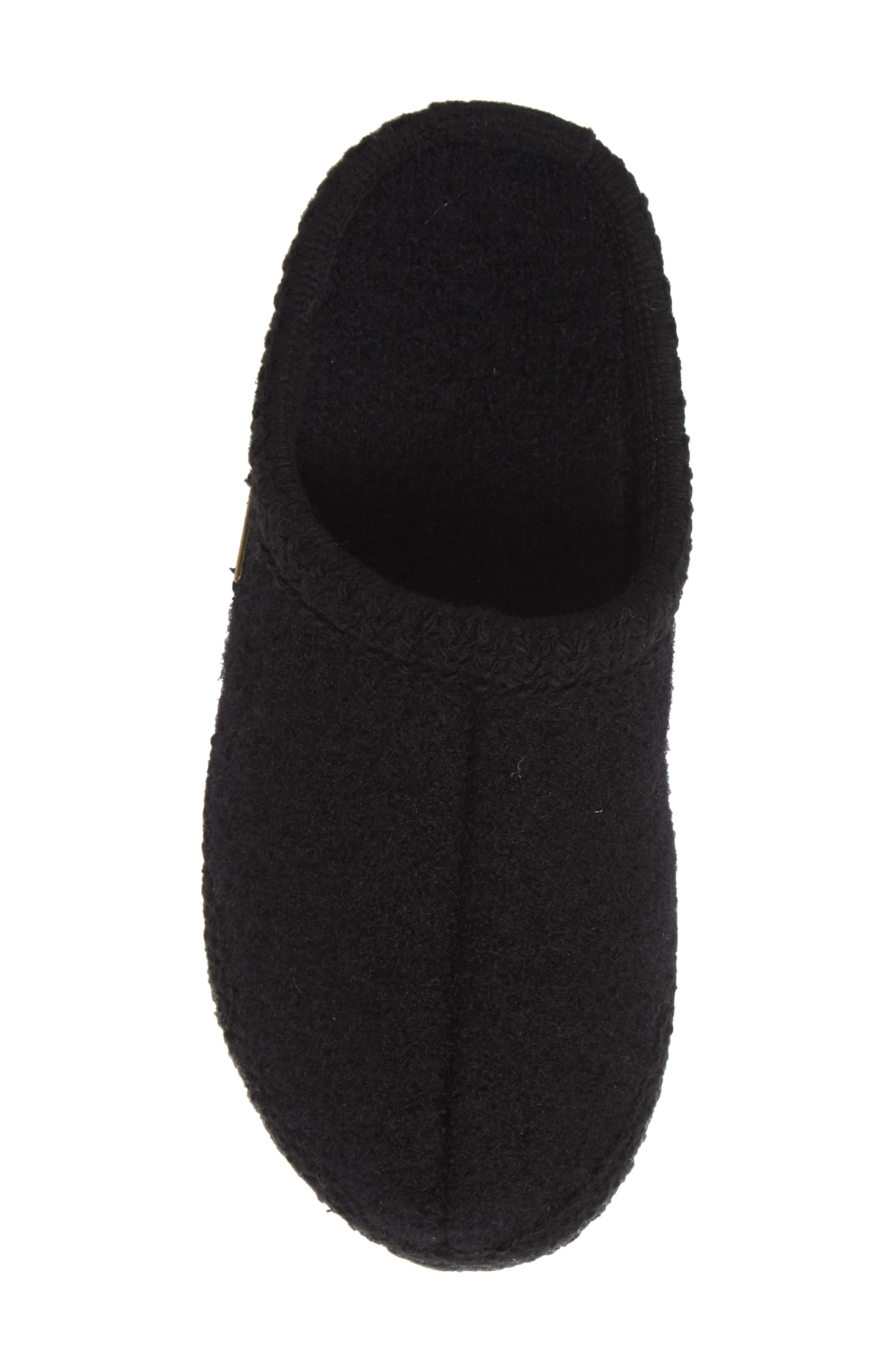 Haflinger As Slipper, Alternate, color, 