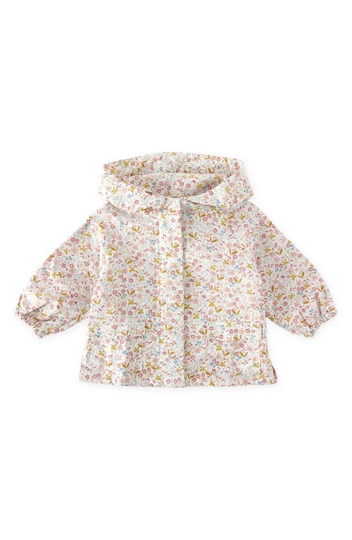 Pehr Kids' Park Hooded Jacket In Multi