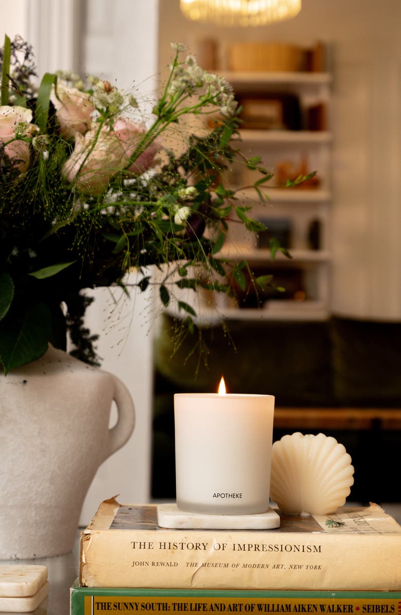 APOTHEKE Sea Salt Grapefruit Classic Scented Candle, Alternate, color, Sea Salt Grapefruit