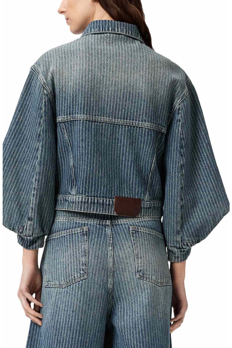 Luca Stripe Denim Jacket, Alternate, color, TITAN BLUE