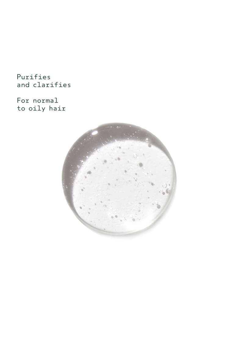 Rosemary Mint Purifying Shampoo, Alternate, color, NO COLOR