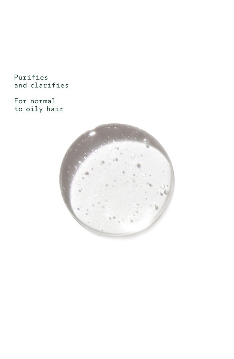 Aveda Rosemary Mint Purifying Shampoo, Alternate, color, 