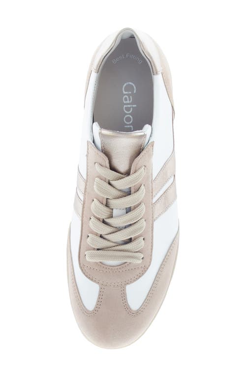Shop Gabor 63.300 Sneaker In Puder