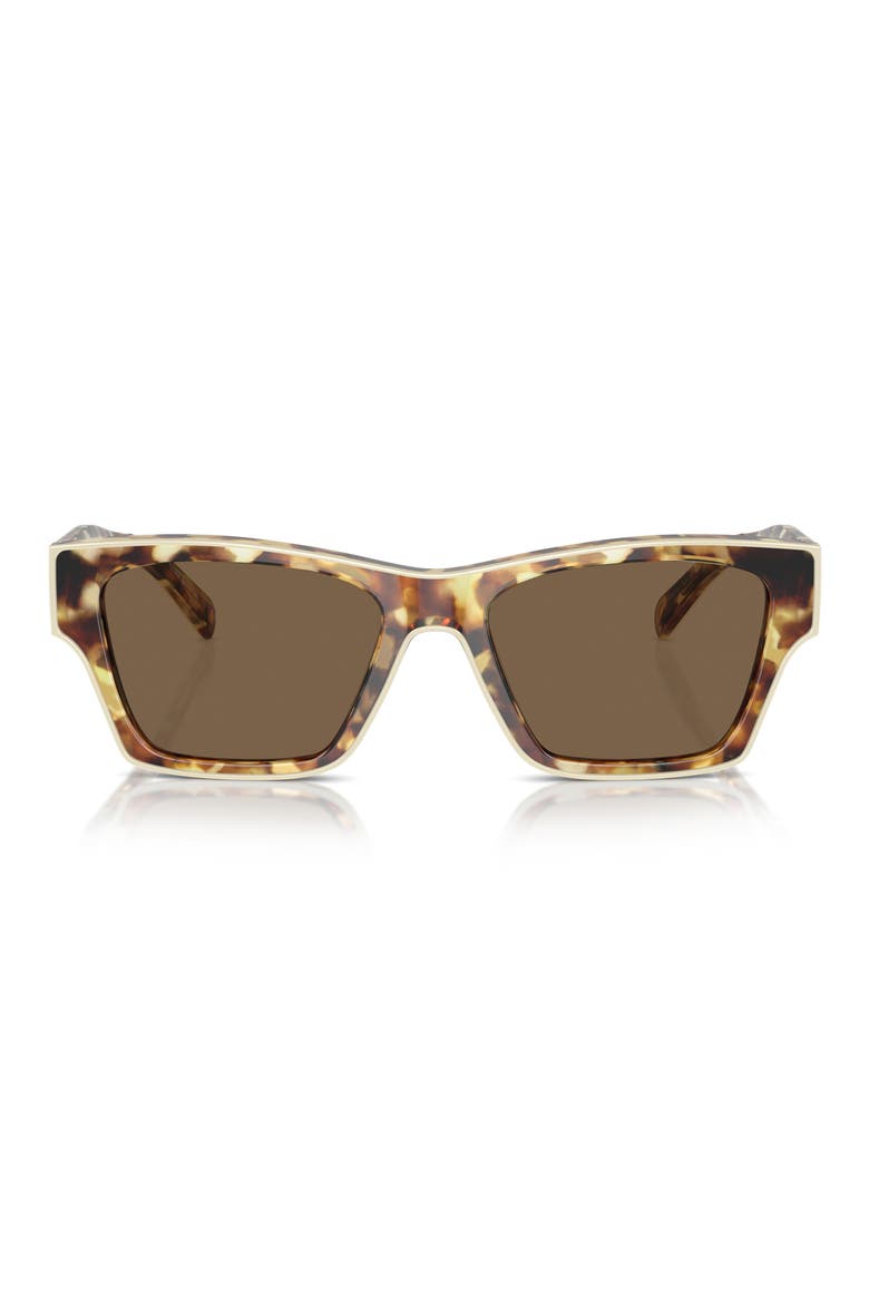 53mm Rectangular Sunglasses, Main, color, DARK BROWN