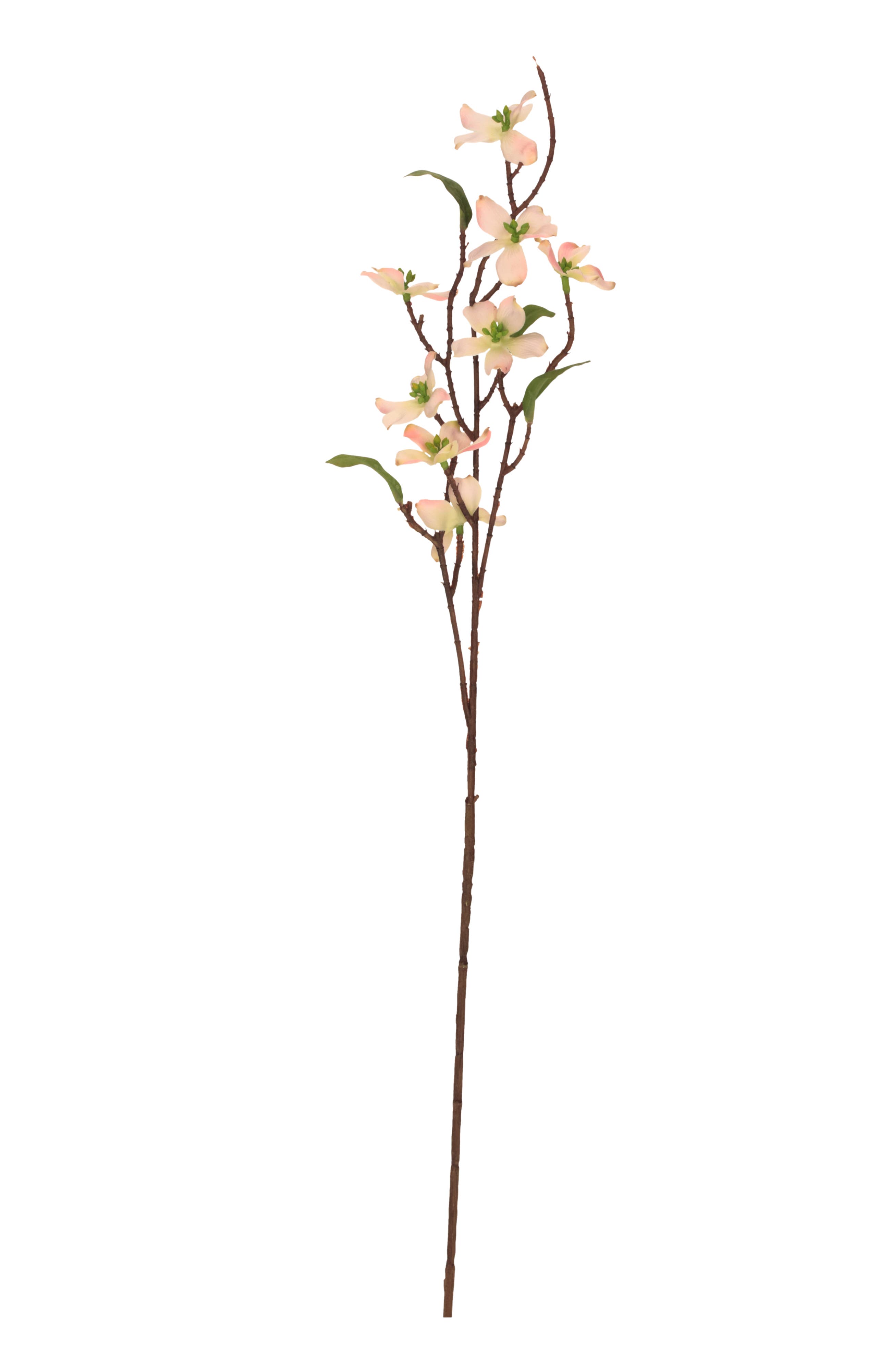 selected Light Pink