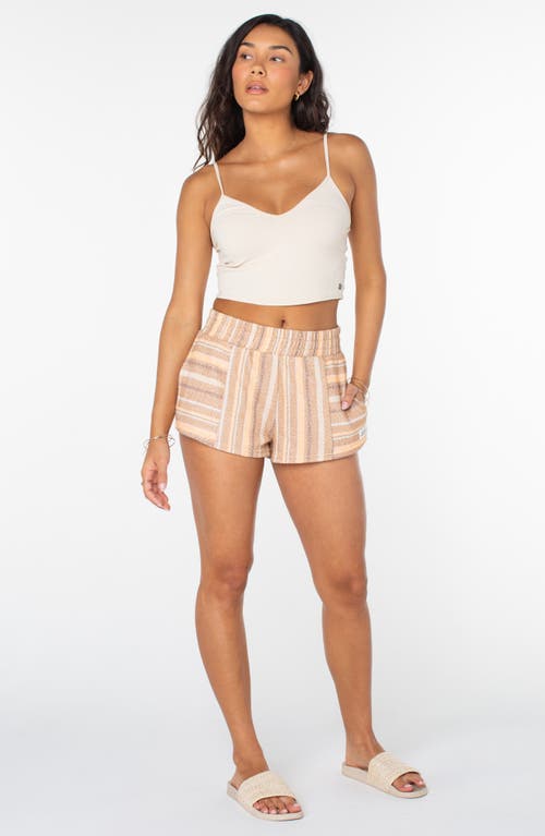Roxy Wave Rider Stripe Shorts In Multi