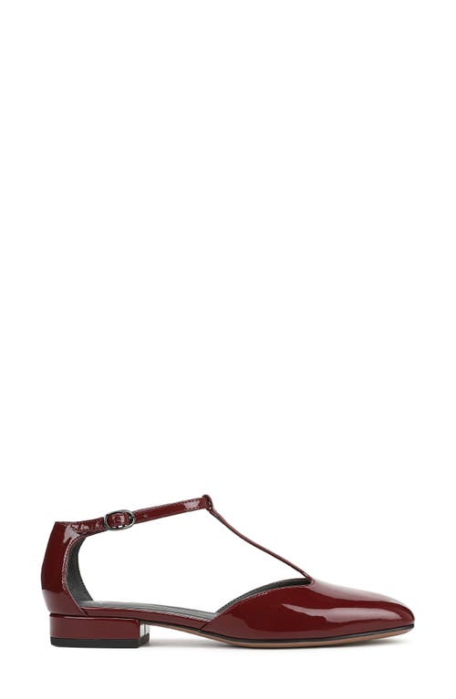 Sarto By Franco Sarto Delmira T-strap Flat In Burgundy