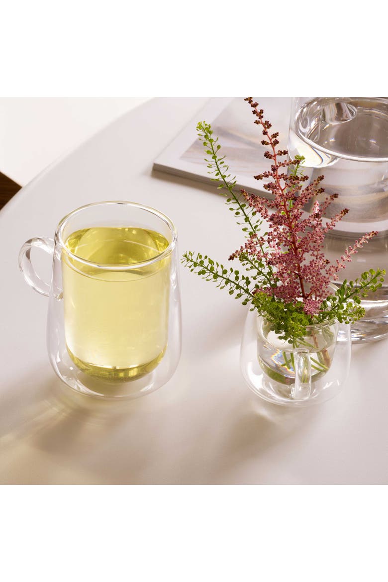 Artesano Hot & Cold Beverage Latte Glass L with Handle Pair, Alternate, color, no color